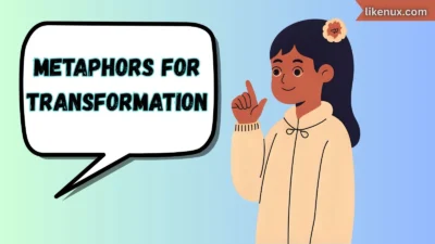 Metaphors for Transformation