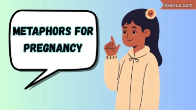 Metaphors for Pregnancy