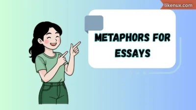 Metaphors for Essays