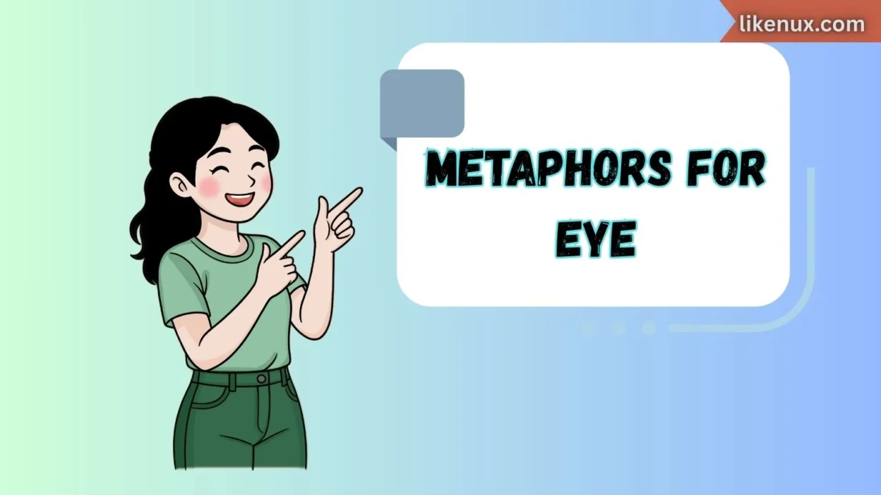 Metaphors for Eye