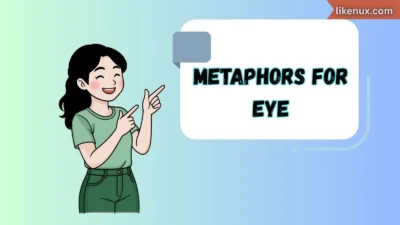 Metaphors for Eye