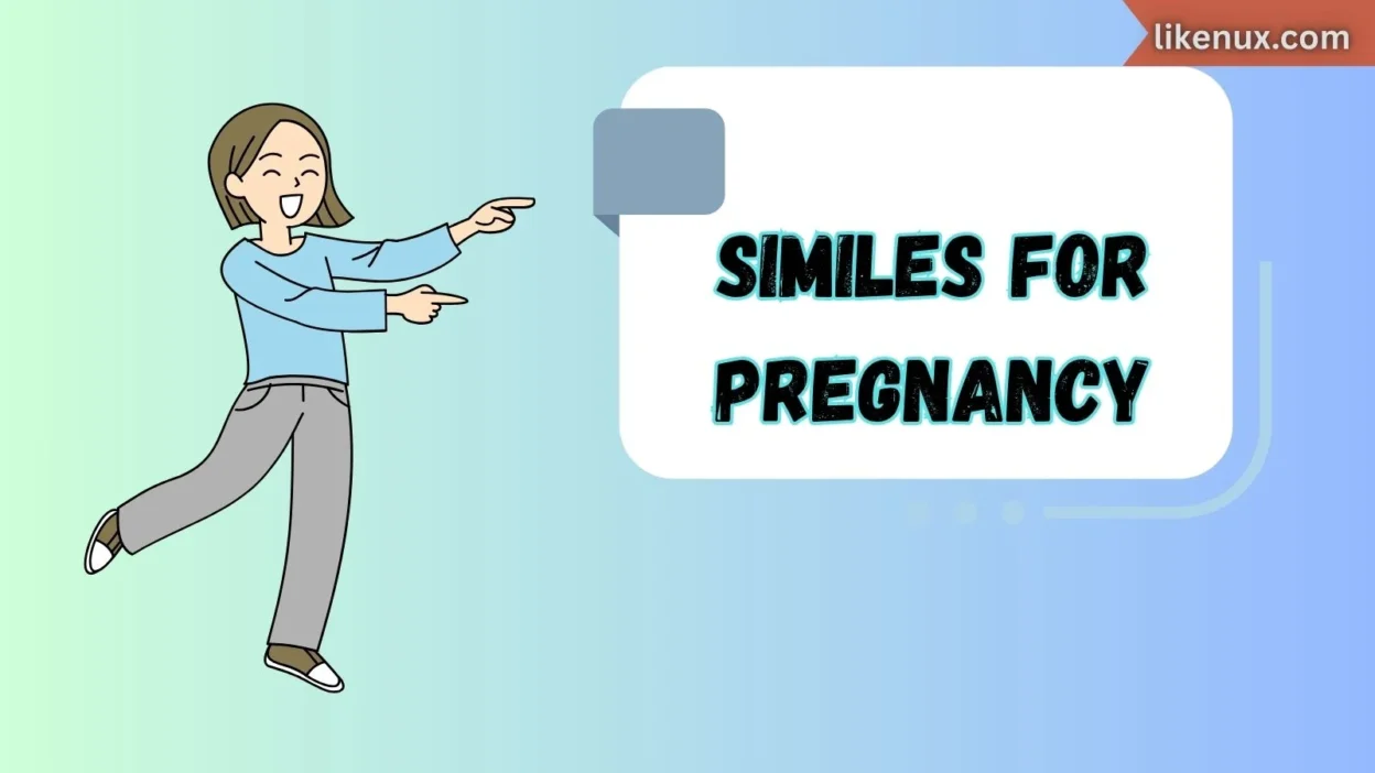 Similes for Pregnancy