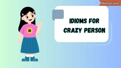 Idioms for Crazy Person