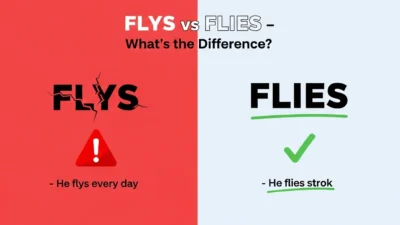 Flys vs Flies