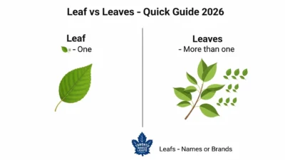 Leafs or Leaves